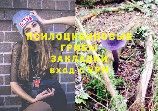 а пвп мука Бородино